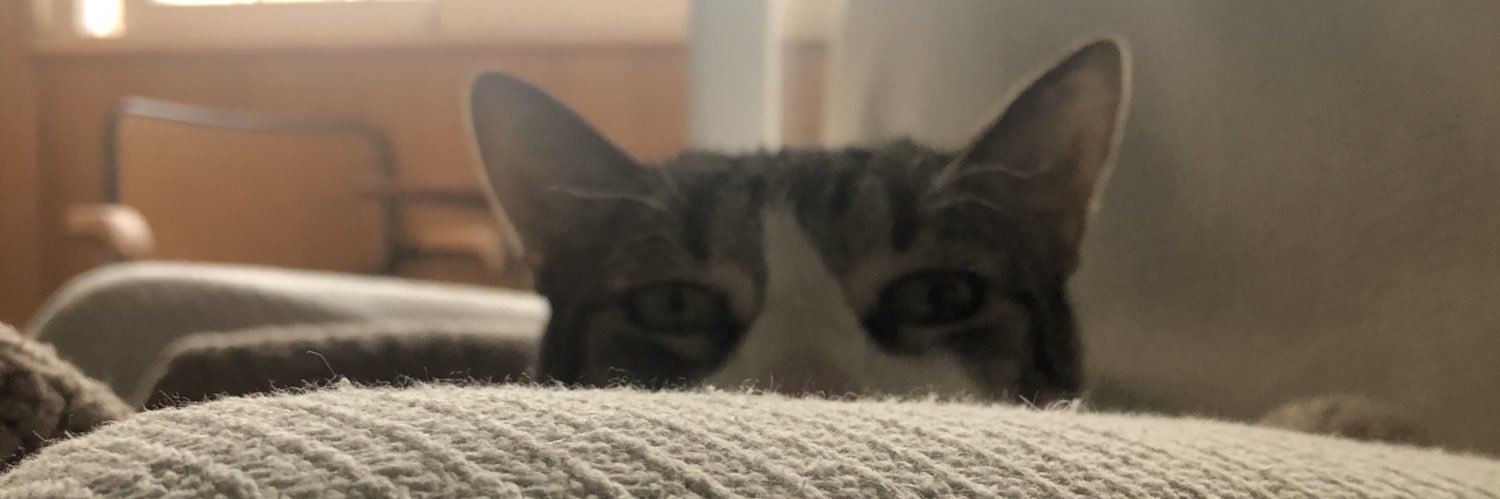 AlvaroRbDn's profile banner image