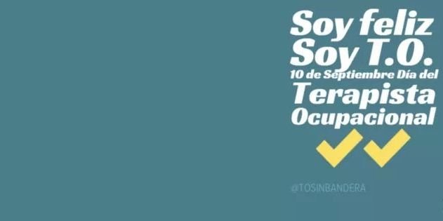 Terapia Ocupacional banner