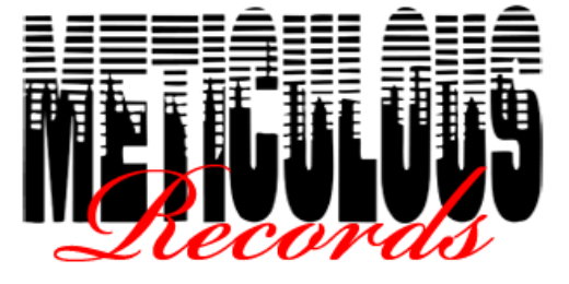Meticulous_LLC's profile banner image