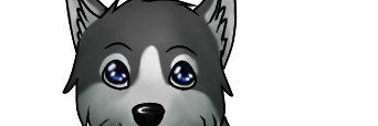 DarkWolve banner