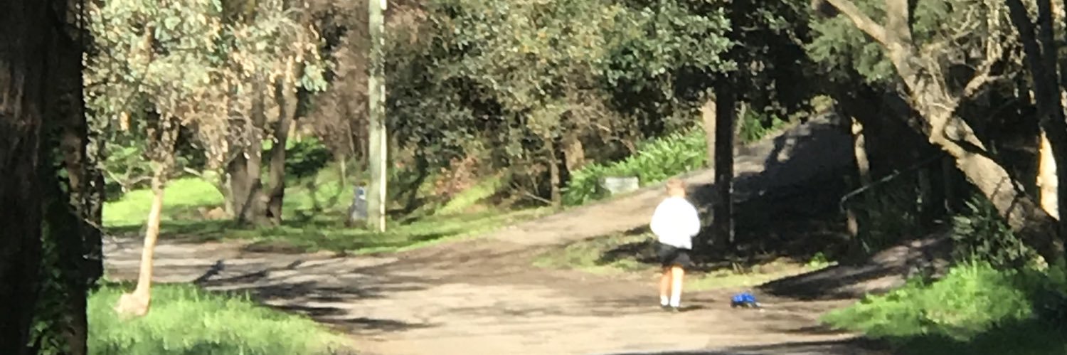 Judith Bessant banner