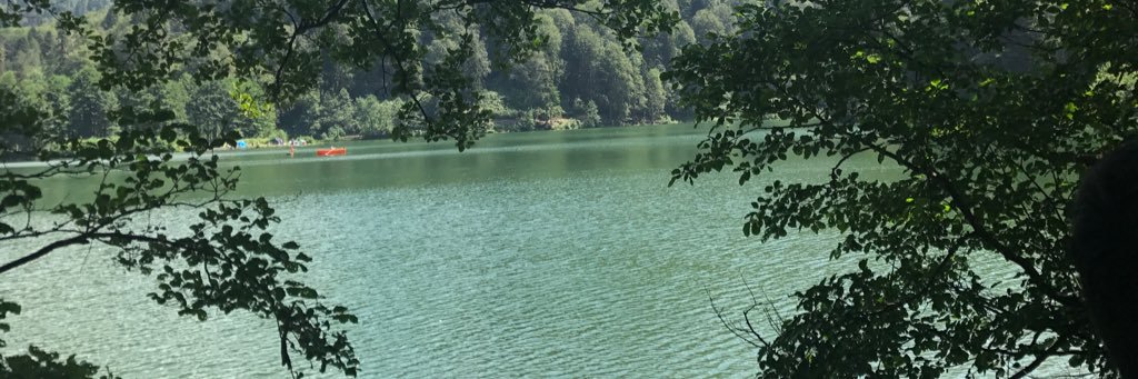 zuzuhalbas's profile banner image