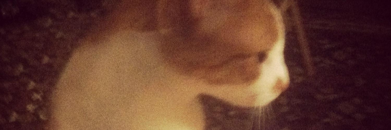 Emilyranson2's profile banner image