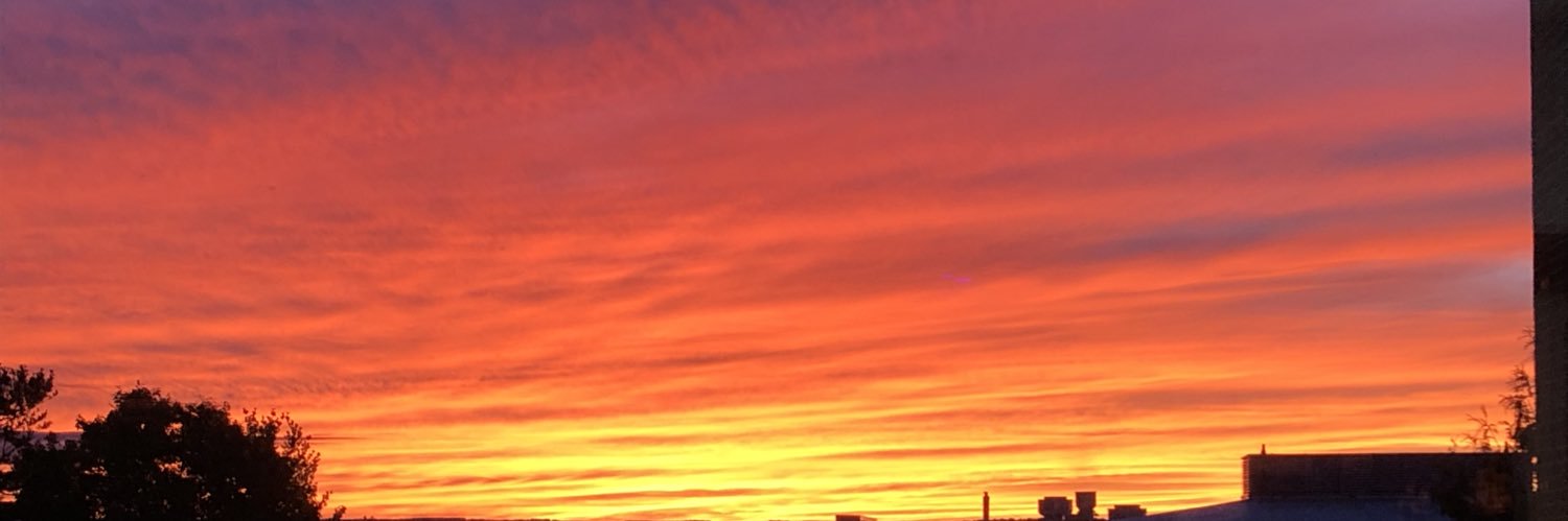 moomookachoo's profile banner image