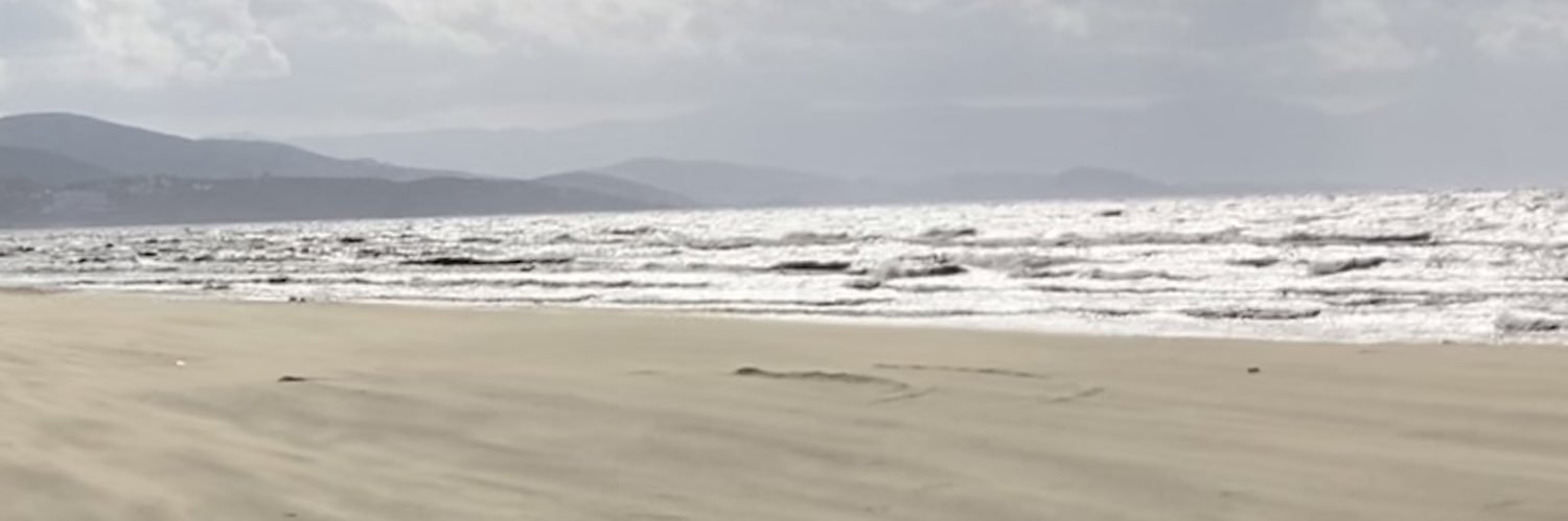 yuevog's profile banner image