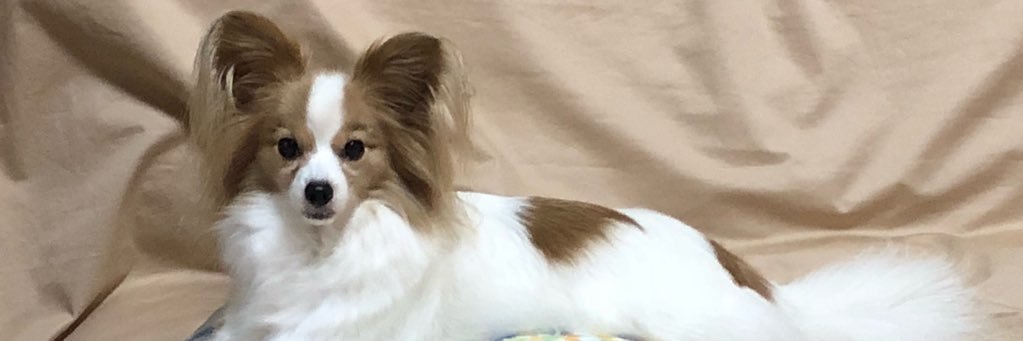 gggdapw's profile banner image