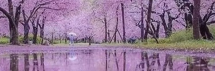 Fleur Azul banner