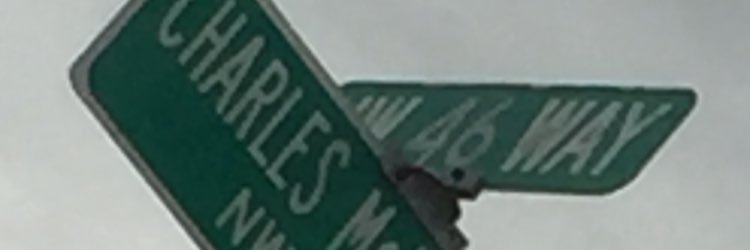 ThatBoyTadow's profile banner image