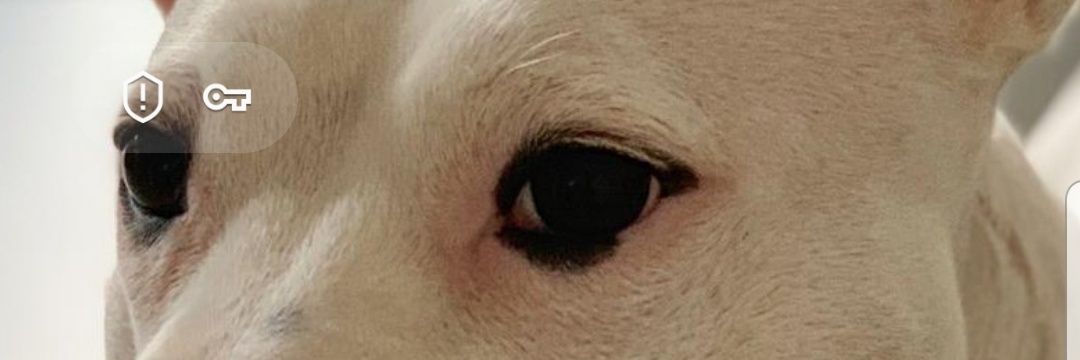 Bunchie1975's profile banner image