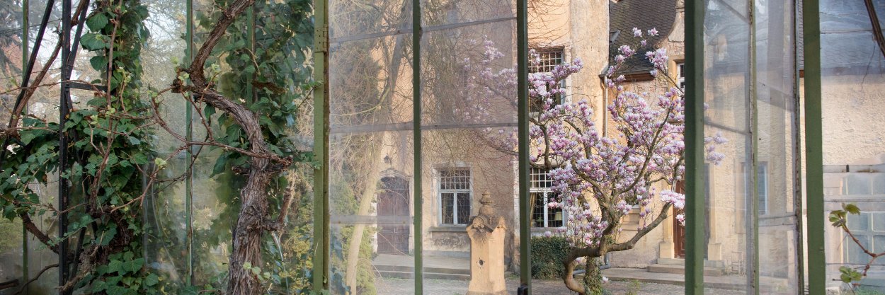 Château de Wintrange banner