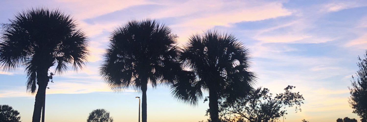 taylor5869's profile banner image