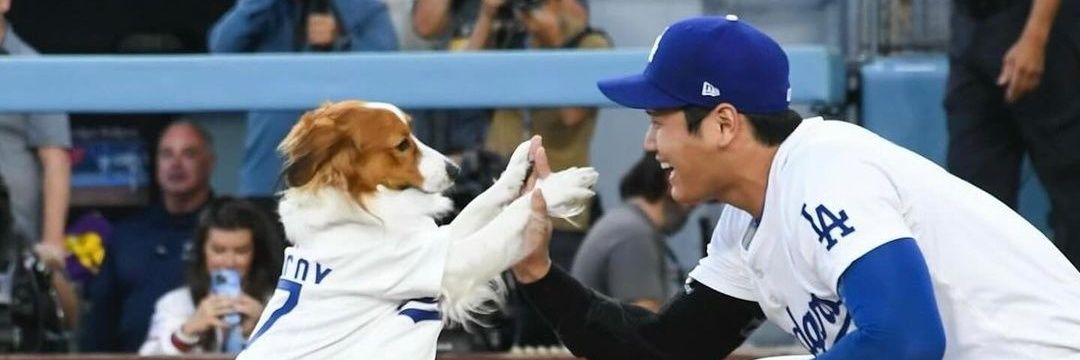 黄色いバス(大谷選手応援💙⚾LA💙) banner