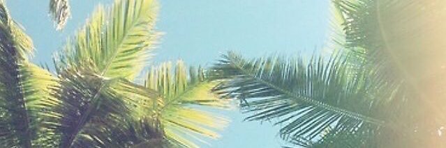 theKaryna's profile banner image