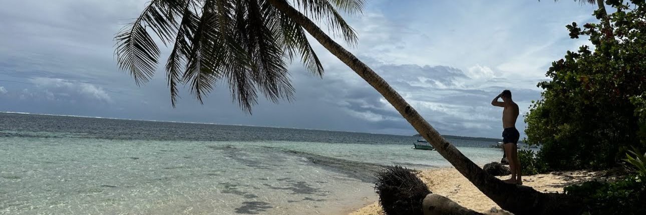 William Green banner