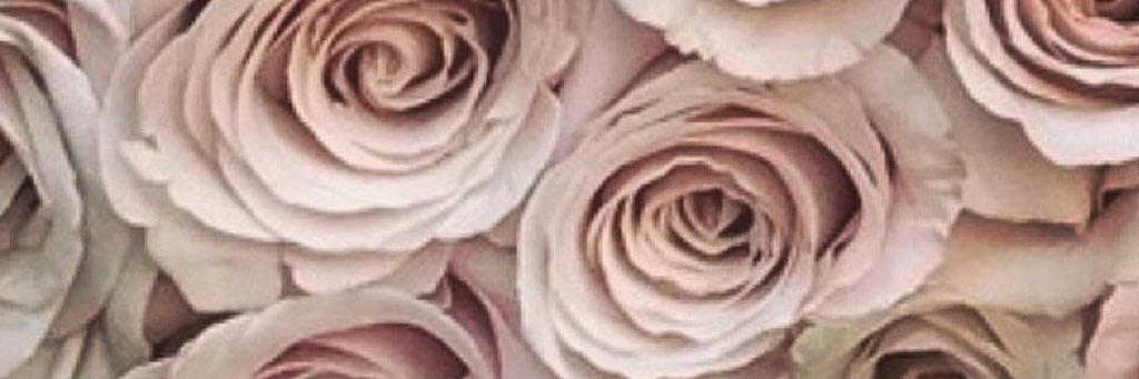_AmyShotton's profile banner image