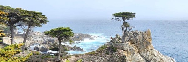 bachuana Profile Banner