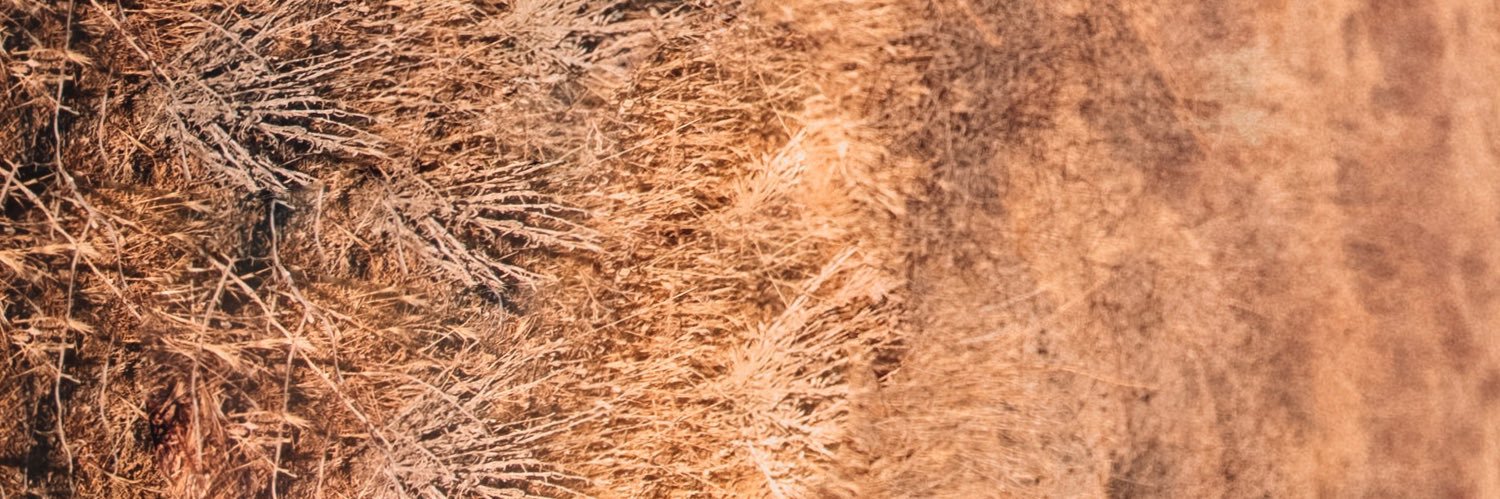 MIELlife's profile banner image