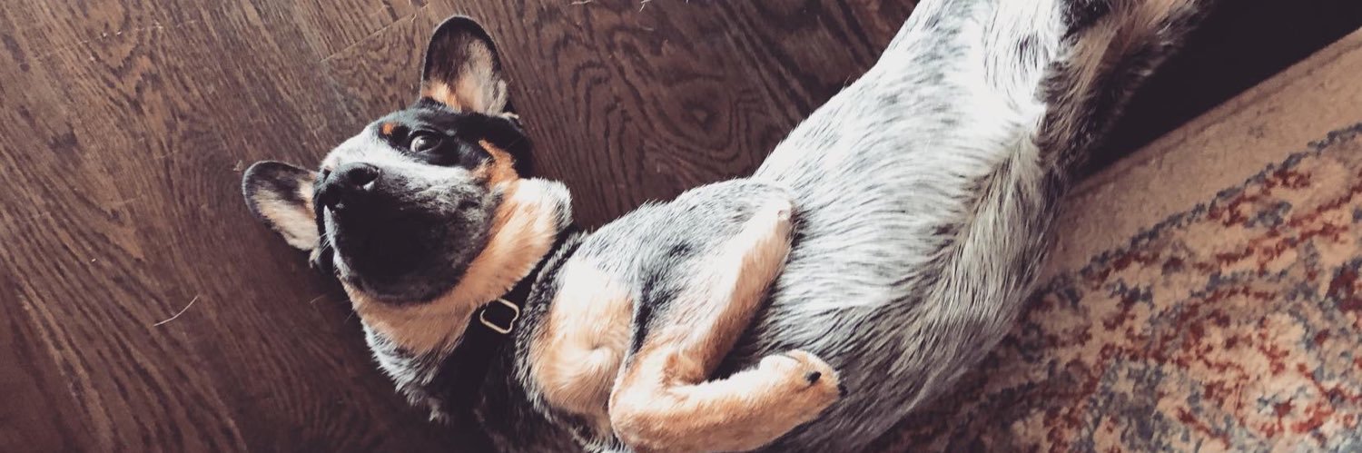 Daniel Molina banner