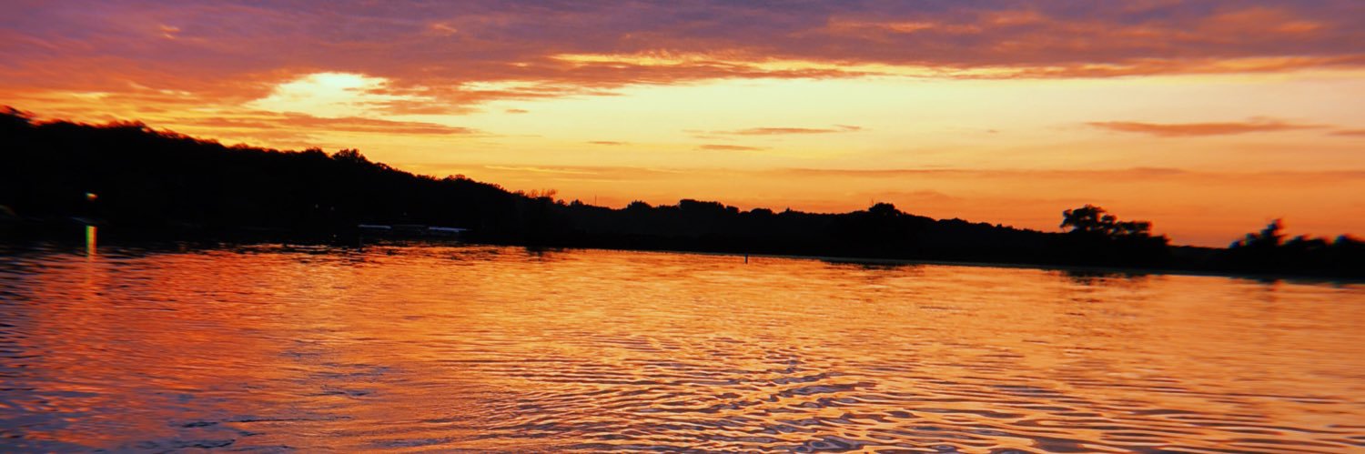 CarneyElli's profile banner image
