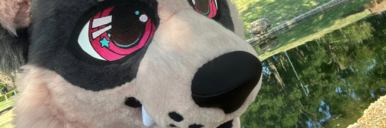 Pyre Corgi ΘΔ banner
