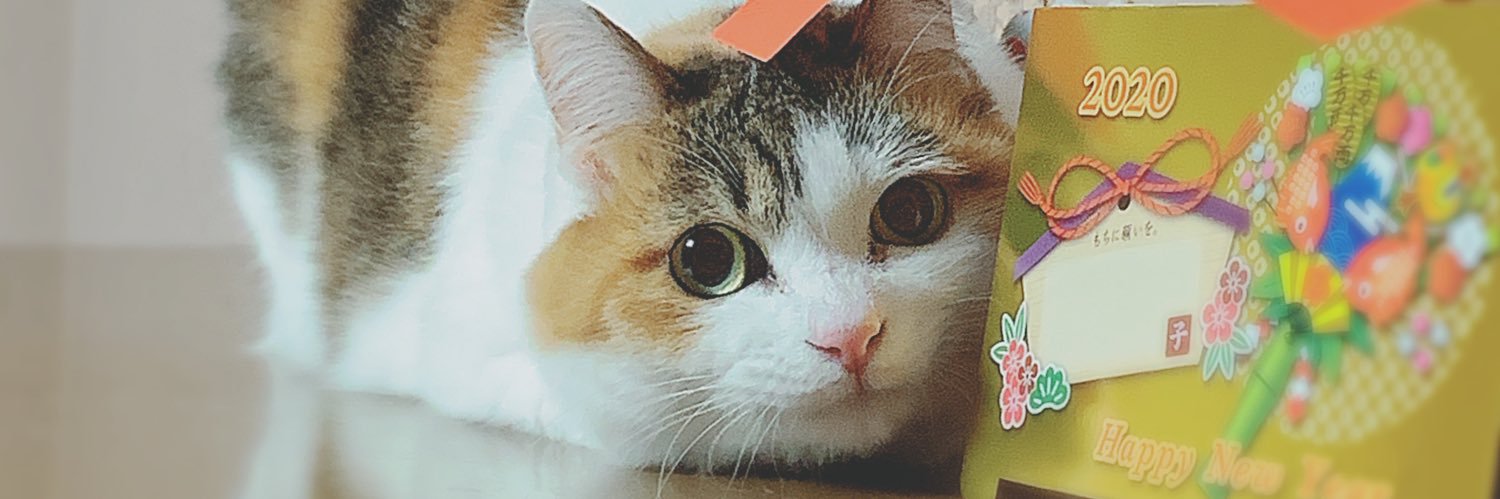 kaotyan0823's profile banner image