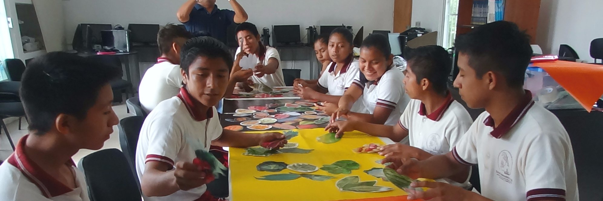 Educomalli A.C. banner