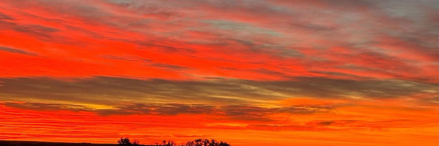 Tracey Larlham 🇨🇦 banner