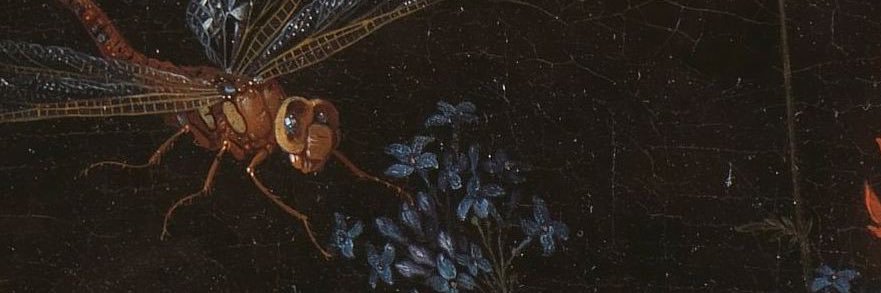 your supreme majesty banner