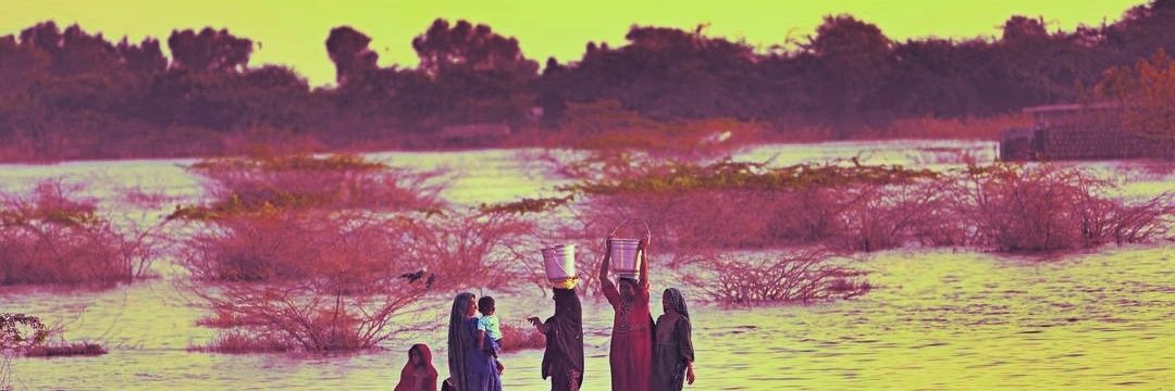 pakliberals's profile banner image