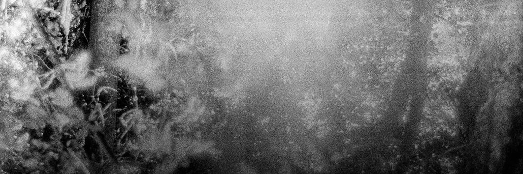 peaudame's profile banner image