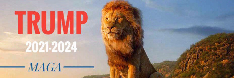 StaBB banner