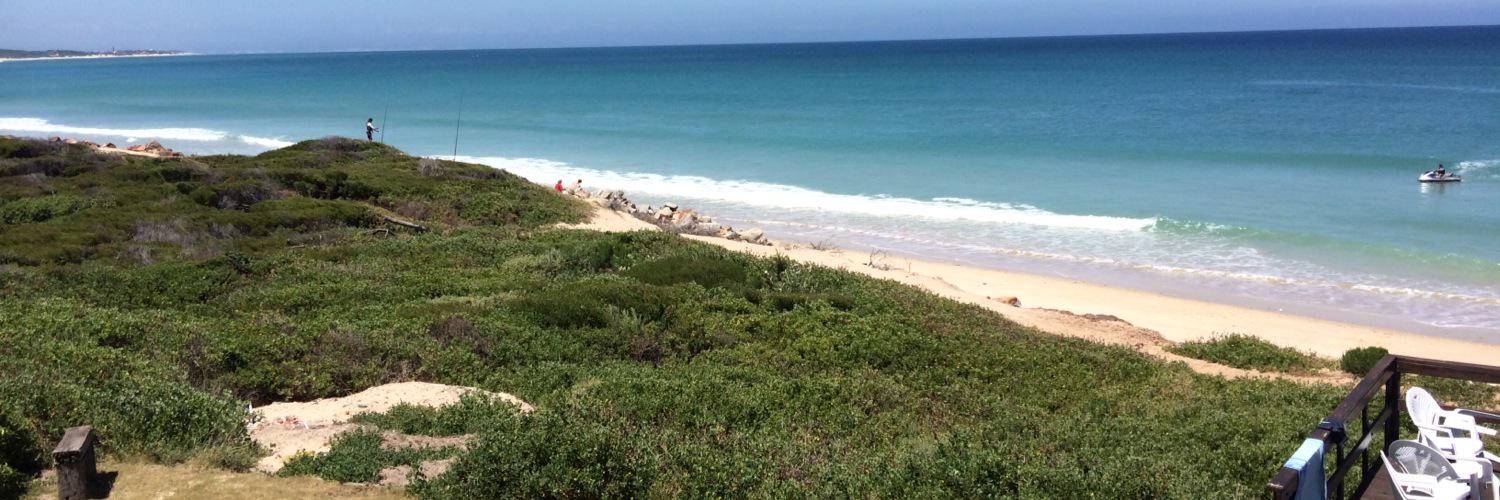 William Leith banner