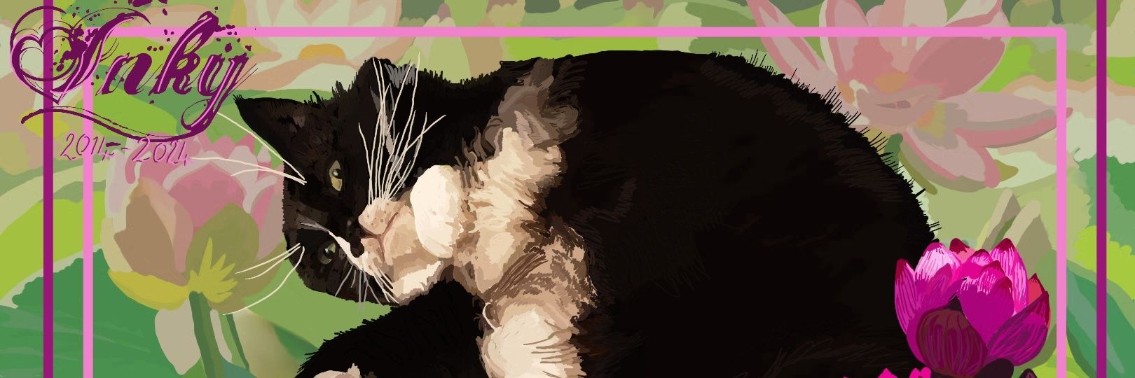 AuntyMeow banner