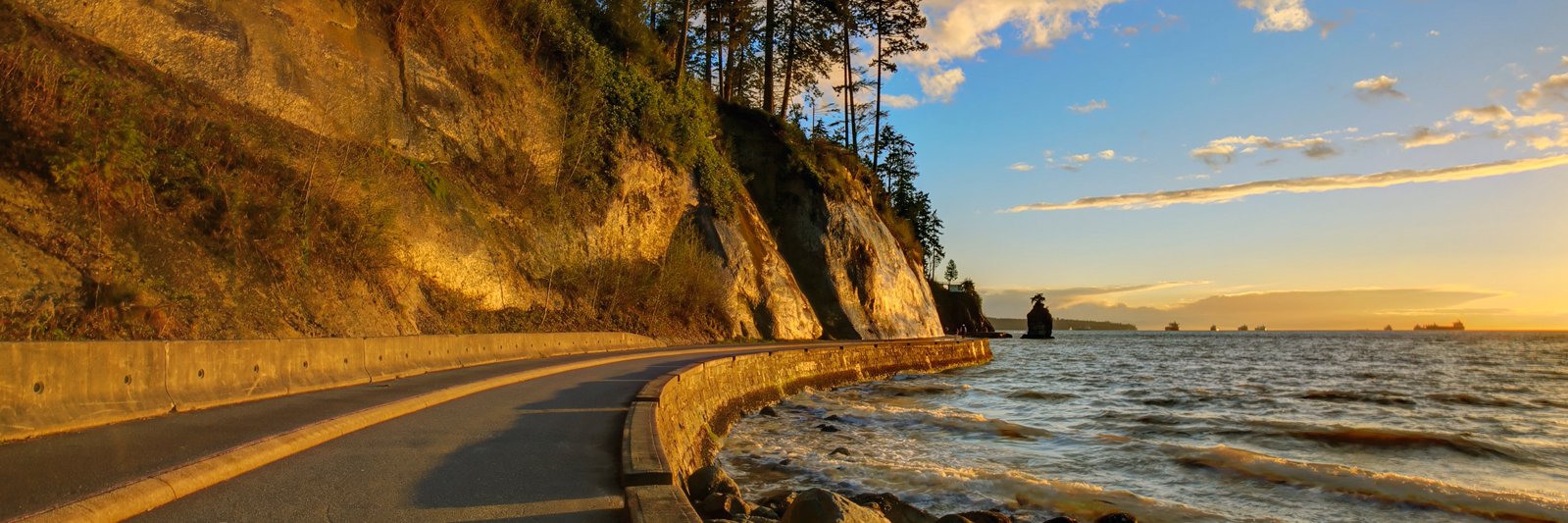 Aron Gunningham banner