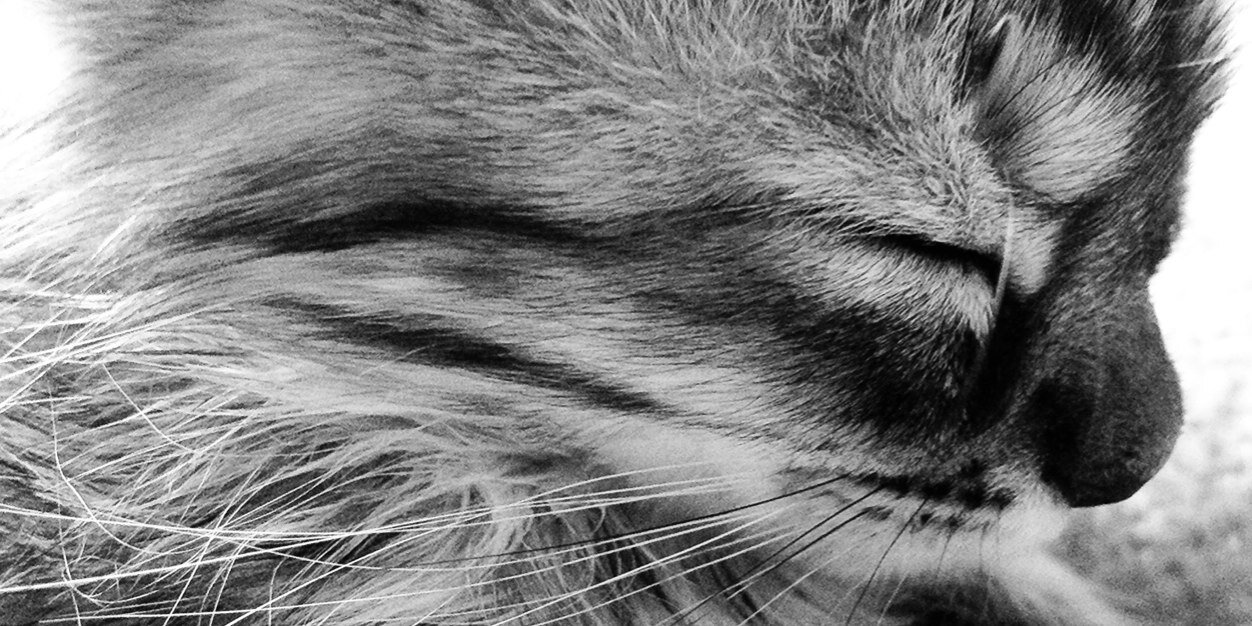 Rebetikuti's profile banner image