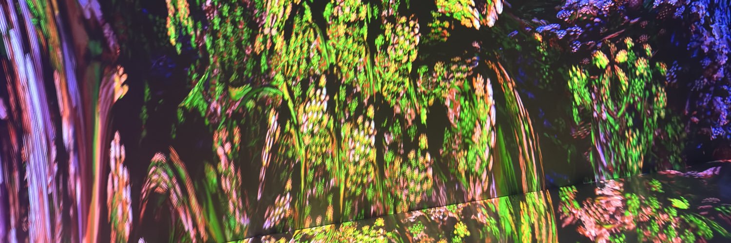 NovedSend's profile banner image