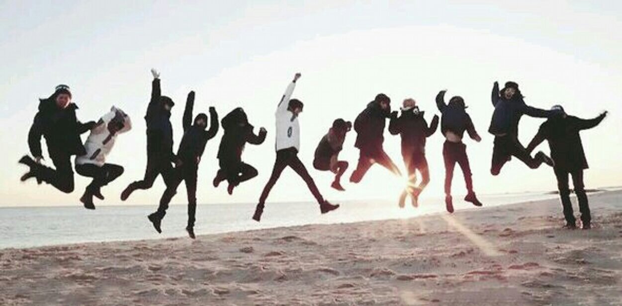 ohsehundose's profile banner image