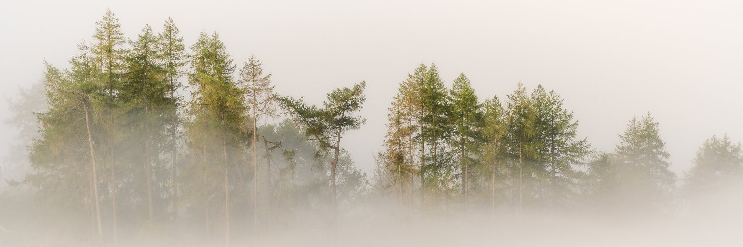 David Rippin🏔🌳📷🧗‍♂️🚴‍♂️🇪🇺 banner