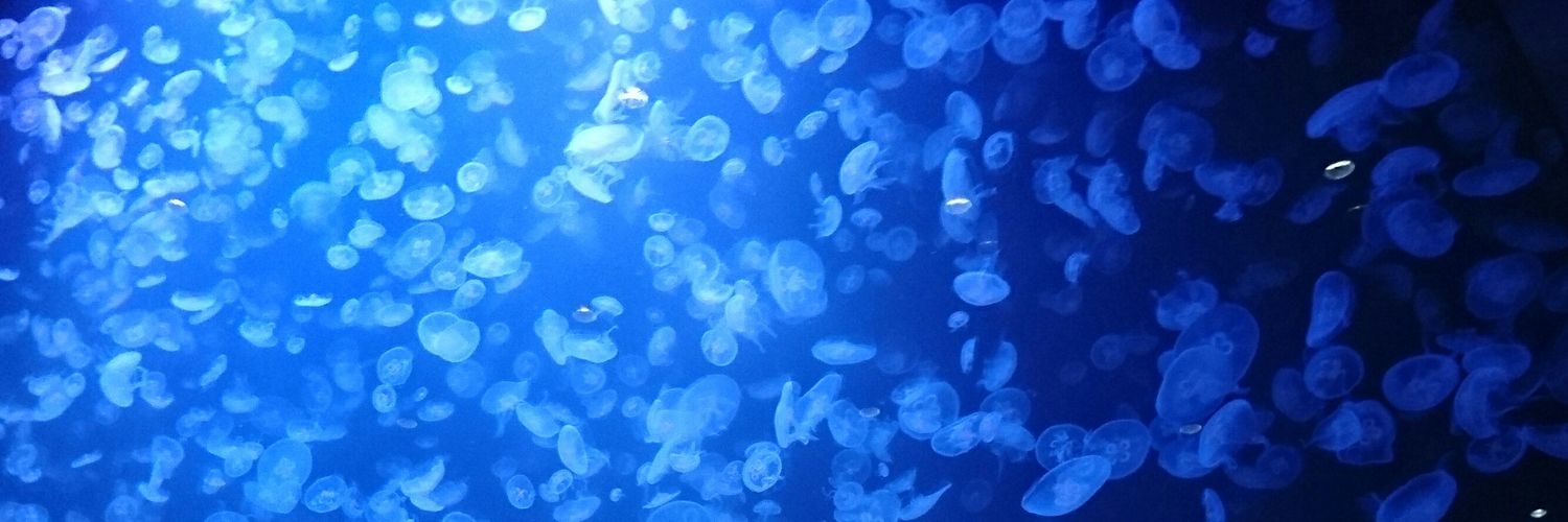 TKDN_19's profile banner image