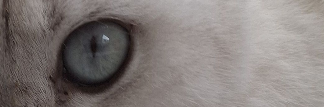 nevayd's profile banner image