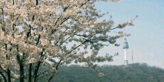 DecoVita's profile banner image