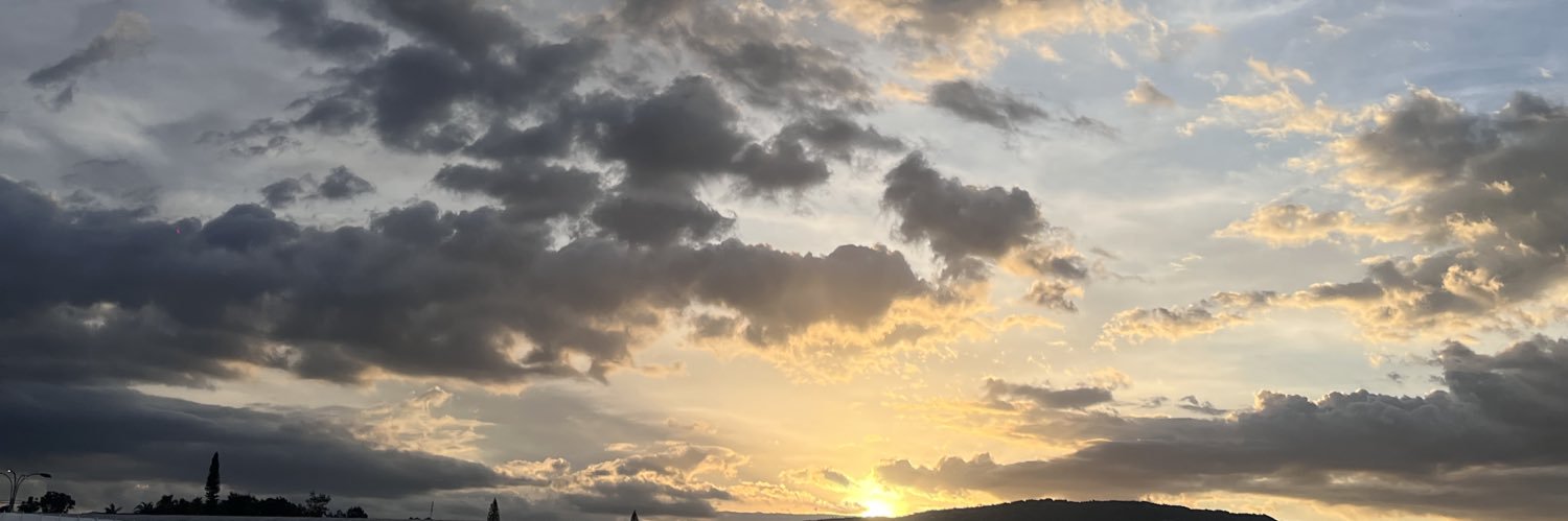 danissamichell's profile banner image
