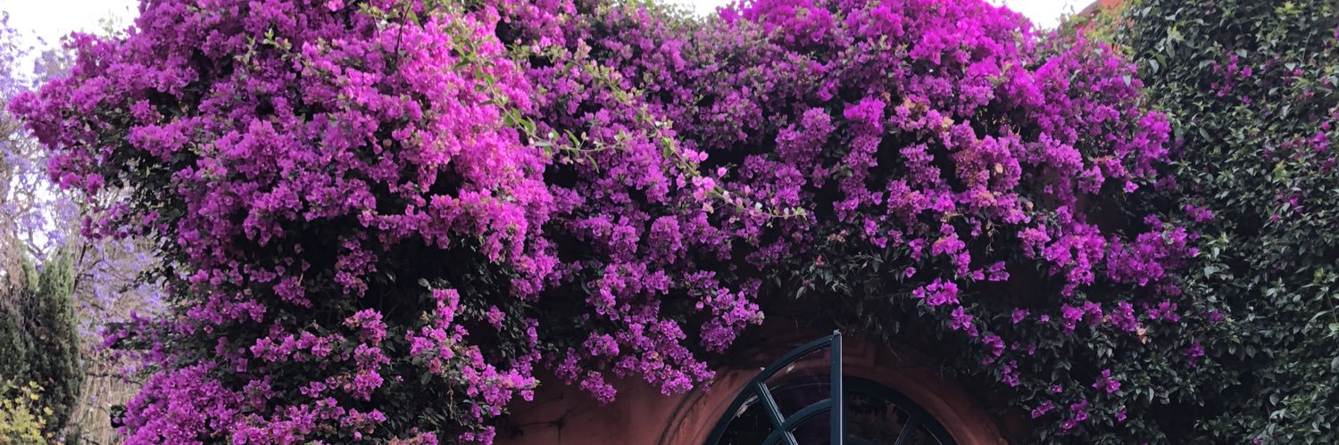 Kate Sullivan banner