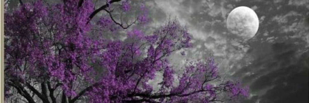 emanon1130's profile banner image