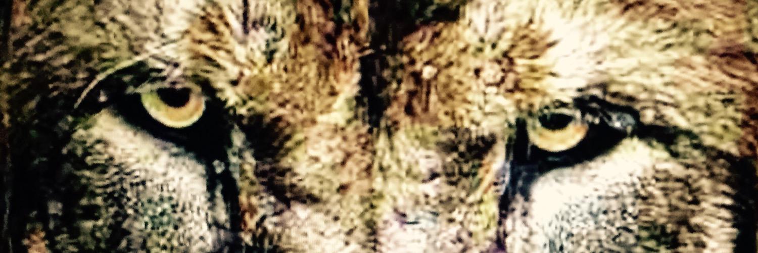 WatersTheGenius's profile banner image
