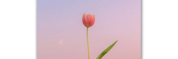 S23Lt's profile banner image