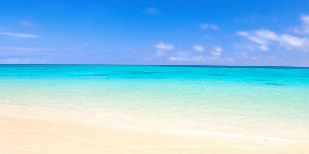 Ocean_TW's profile banner image