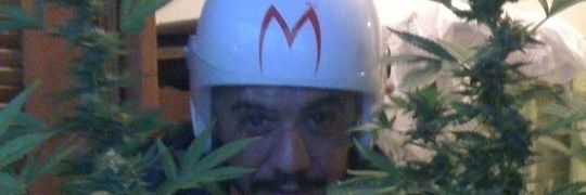 maissiroca's profile banner image
