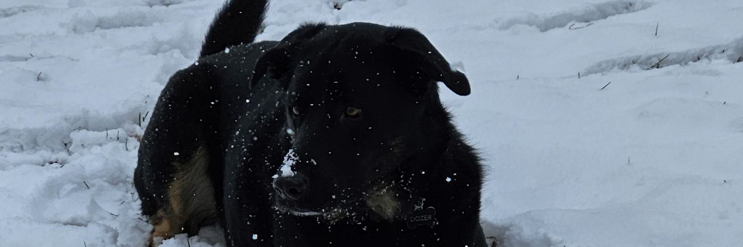 HMurph26's profile banner image