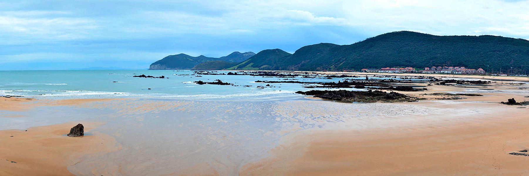 Elva Herrero banner